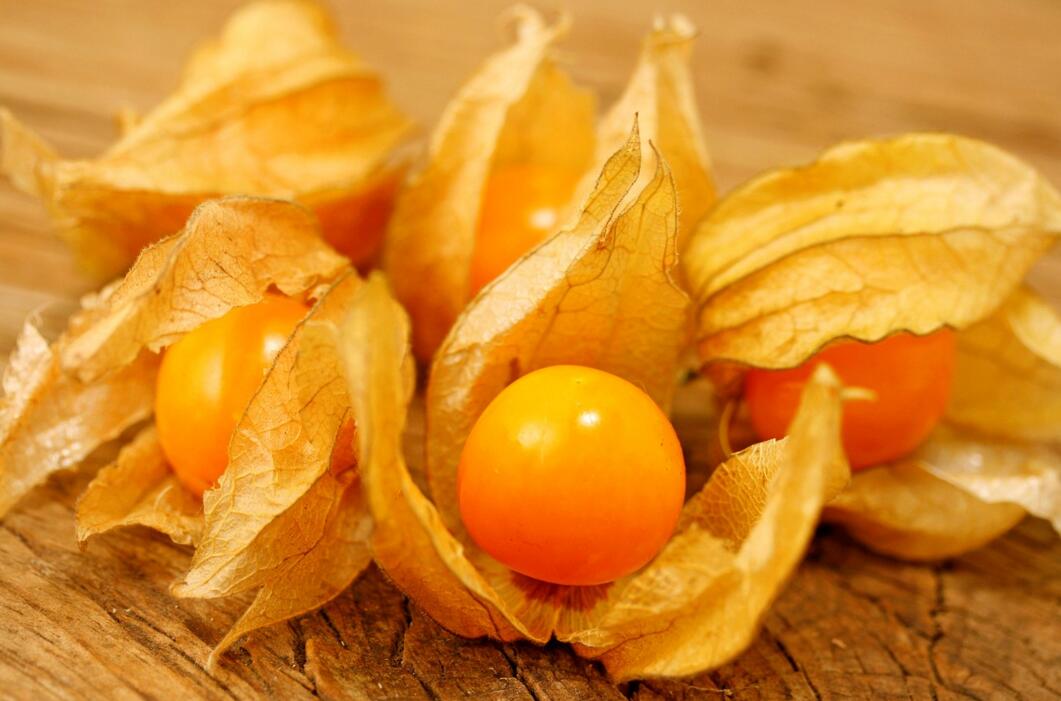 農(nóng)業(yè)自動(dòng)氣象站助力菇娘規(guī)?；N植